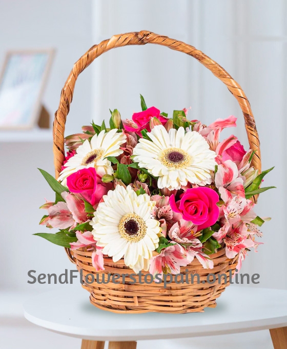 Cesta de gerberas blancas y rosas rosadas