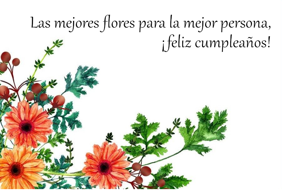 Las mejores flores para la mejor persona, ¡Feliz cumpleaños!